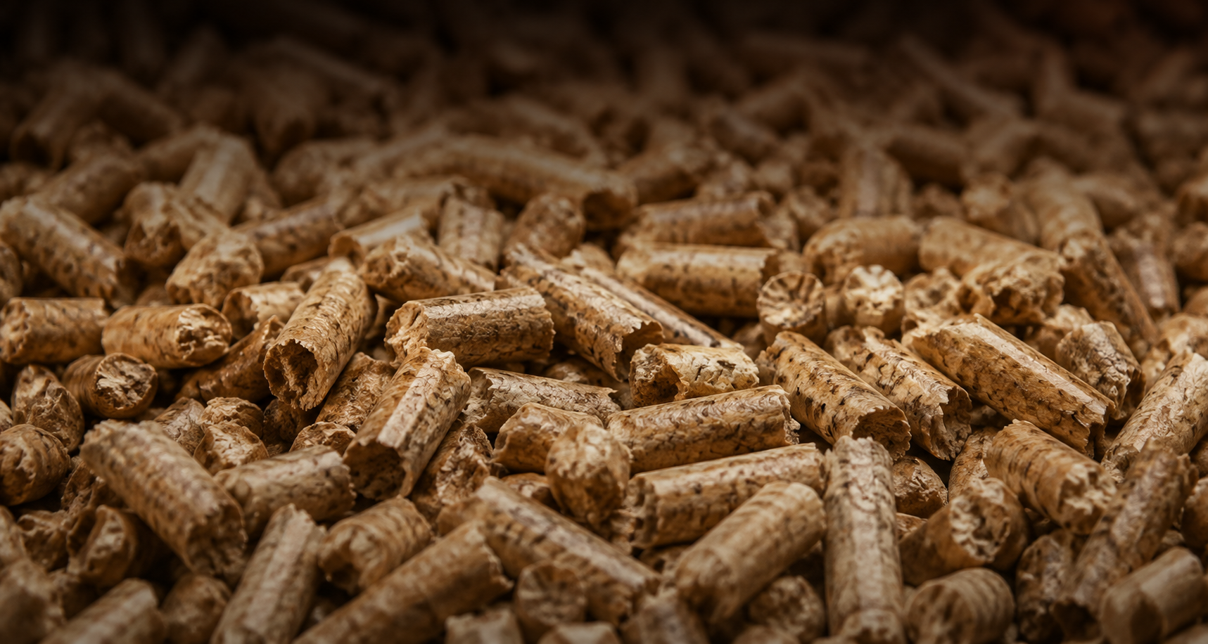 Come scegliere pellet di qualità a prezzi competitivi per il riscaldamento domestico