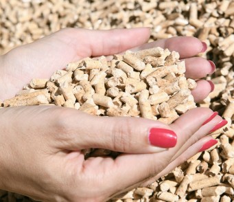 Pellet di qualità certificata: come scegliere e risparmiare con PelletPrestagionale